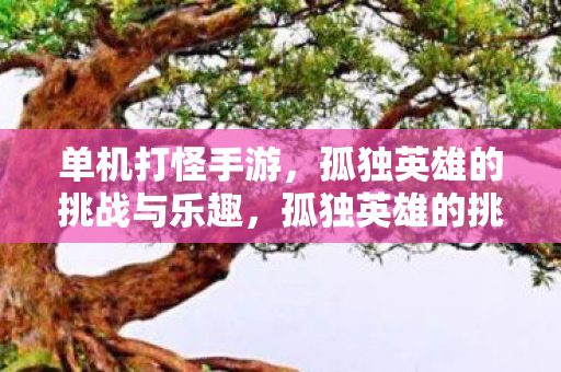 单机打怪手游，孤独英雄的挑战与乐趣，孤独英雄的挑战与乐趣，单机打怪手游的魅力