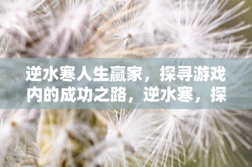 逆水寒人生赢家，探寻游戏内的成功之路，逆水寒，探寻游戏内的成功之路