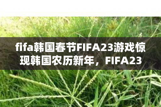 fifa韩国春节FIFA23游戏惊现韩国农历新年，FIFA23游戏中惊现韩国农历新年
