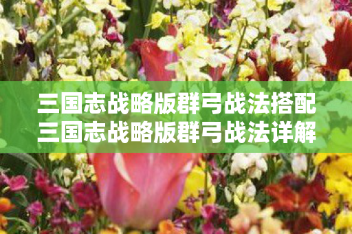 三国志战略版群弓战法搭配三国志战略版群弓战法详解，三国志战略版，群弓战法搭配与详解