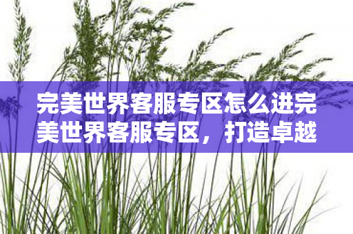 完美世界客服专区怎么进完美世界客服专区，打造卓越游戏体验的坚实后盾，如何进入完美世界客服专区，为玩家打造卓越游戏体验