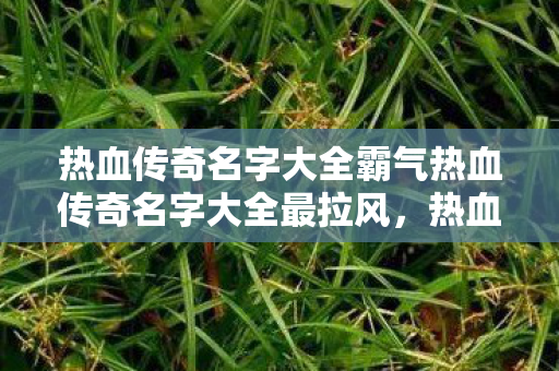 热血传奇名字大全霸气热血传奇名字大全最拉风图片