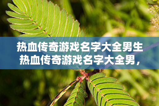 热血传奇游戏名字大全男生热血传奇游戏名字大全男图片