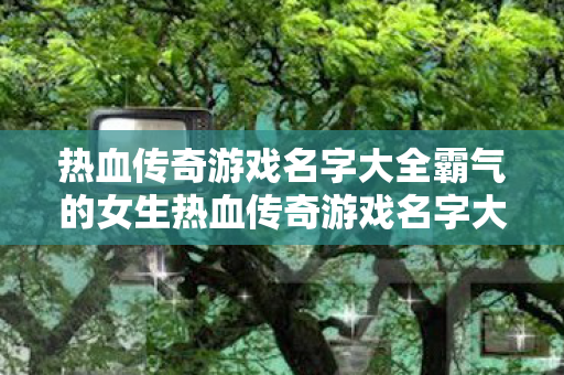 热血传奇游戏名字大全霸气的女生热血传奇游戏名字大全霸气的图片