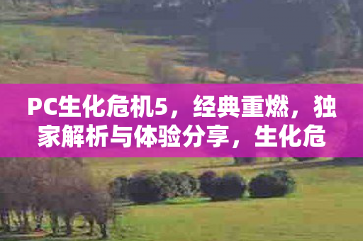 生化危机5PC版重燃经典图片