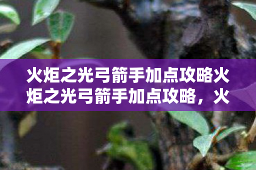 火炬之光弓箭手加点攻略火炬之光弓箭手加点攻略图片