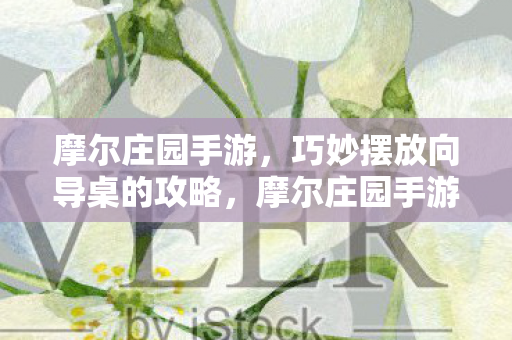 巧妙摆放向导桌的攻略图片