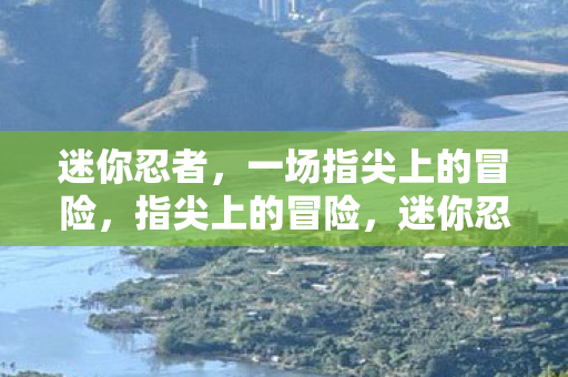 一场指尖上的冒险图片