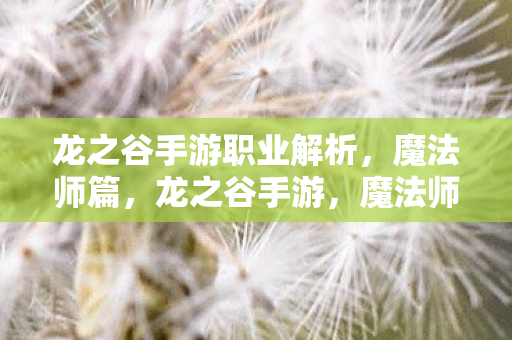 龙之谷手游职业解析图片