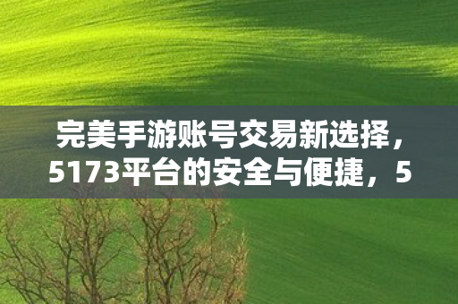 完美手游账号交易新选择,5173平台的安全与便捷,5173平台,完美手游账号交易新选择,安全便捷有保障 完美手游账号交易新选择,5173平台的安全与便捷,5173平台,完美手游账号交易新选择,安全便捷有保障