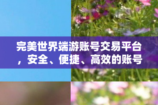 完美世界端游账号交易平台，安全、便捷、高效的账号交易新选择，安全高效，尽在掌握，完美世界端游账号交易平台