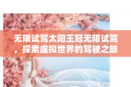 无限试驾太阳王冠无限试驾，探索虚拟世界的驾驶之旅，探索虚拟驾驶之旅，无限试驾太阳王冠