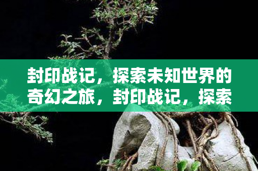 封印战记,探索未知世界的奇幻之旅,封印战记,探索未知世界的奇幻冒险之旅 封印战记,探索未知世界的奇幻之旅,封印战记,探索未知世界的奇幻冒险之旅