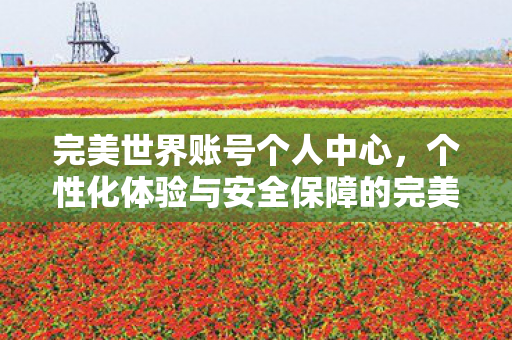 个性化体验与安全保障的完美结合图片