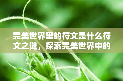 完美世界里的符文是什么符文之谜,探索完美世界中的神秘力量,探索完美世界符文之谜,揭秘游戏内的神秘力量 完美世界里的符文是什么符文之谜,探索完美世界中的神秘力量,探索完美世界符文之谜,揭秘游戏内的神秘力量