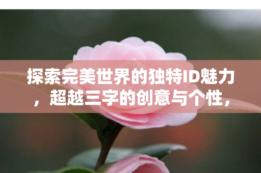 探索完美世界的独特ID魅力,超越三字的创意与个性,探索ID魅力,超越三字的创意与个性 探索完美世界的独特ID魅力,超越三字的创意与个性,探索ID魅力,超越三字的创意与个性