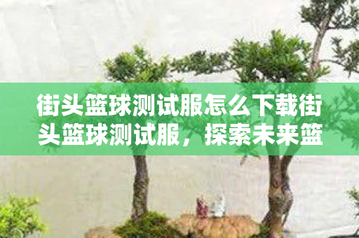 街头篮球测试服怎么下载街头篮球测试服,探索未来篮球竞技的无限可能,街头篮球测试服下载指南,探索未来篮球竞技的无限可能 街头篮球测试服怎么下载街头篮球测试服,探索未来篮球竞技的无限可能,街头篮球测试服下载指南,探索未来篮球竞技的无限可能