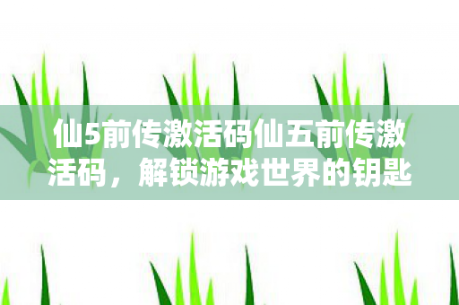 仙5前传激活码仙五前传激活码，解锁游戏世界的钥匙，仙五前传激活码，解锁游戏世界的钥匙