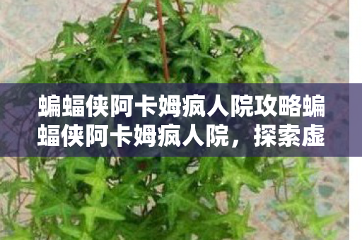 蝙蝠侠阿卡姆疯人院攻略蝙蝠侠阿卡姆疯人院,探索虚拟世界的心理迷宫,蝙蝠侠阿卡姆疯人院,探索虚拟心理迷宫之旅 蝙蝠侠阿卡姆疯人院攻略蝙蝠侠阿卡姆疯人院,探索虚拟世界的心理迷宫,蝙蝠侠阿卡姆疯人院,探索虚拟心理迷宫之旅