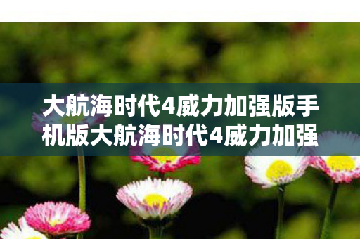 大航海时代4威力加强版手机版大航海时代4威力加强版下载指南,大航海时代4威力加强版手机版下载指南 大航海时代4威力加强版手机版大航海时代4威力加强版下载指南,大航海时代4威力加强版手机版下载指南