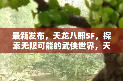 最新发布，天龙八部SF，探索无限可能的武侠世界，天龙八部SF，探索无限可能的武侠世界新体验