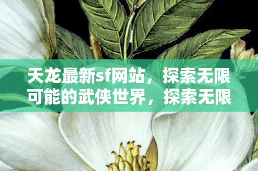 天龙最新sf网站，探索无限可能的武侠世界，探索无限武侠世界，天龙最新sf网站