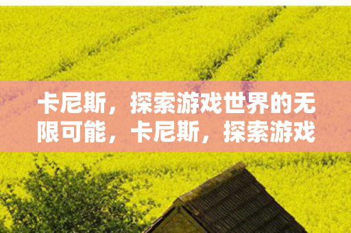 卡尼斯，探索游戏世界的无限可能，卡尼斯，探索游戏世界的无限可能