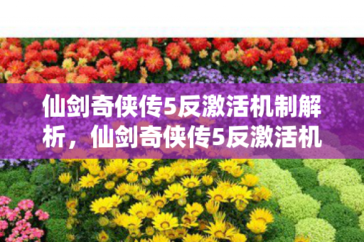 仙剑奇侠传5反激活机制解析，仙剑奇侠传5反激活机制深度解析