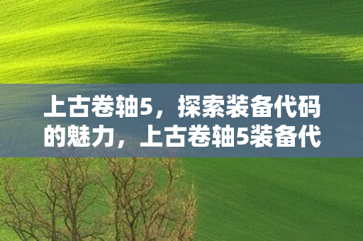 上古卷轴5，探索装备代码的魅力，上古卷轴5装备代码探索，解锁游戏魅力新途径