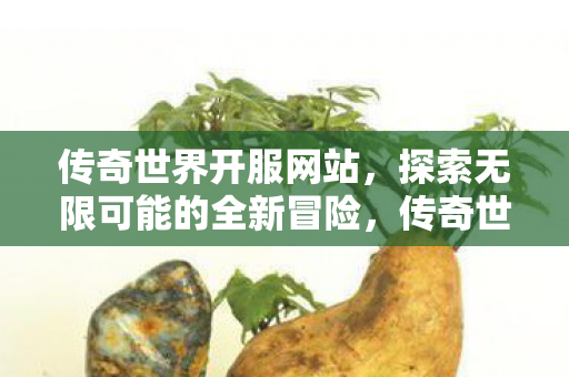 探索无限可能的全新冒险图片