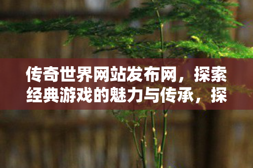 探索经典游戏的魅力与传承图片