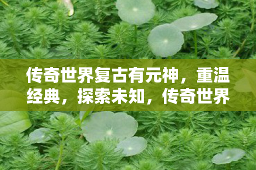 传奇世界复古有元神图片