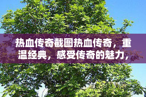 热血传奇截图热血传奇图片