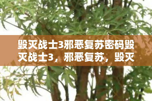 毁灭战士3邪恶复苏密码毁灭战士3,邪恶复苏,毁灭战士3,邪恶复苏密码揭晓,末日之战再度点燃 毁灭战士3邪恶复苏密码毁灭战士3,邪恶复苏,毁灭战士3,邪恶复苏密码揭晓,末日之战再度点燃