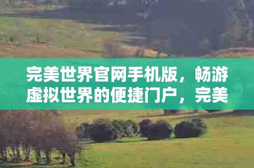 畅游虚拟世界的便捷门户图片