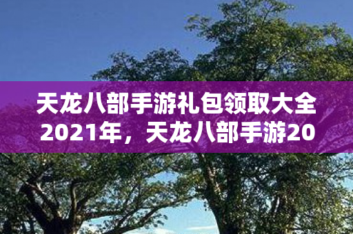 天龙八部手游礼包领取大全2021年图片