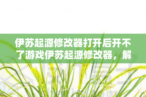 伊苏起源修改器打开后开不了游戏伊苏起源修改器，解锁无限可能的冒险之旅，伊苏起源修改器使用问题，解锁冒险却遇游戏无法启动