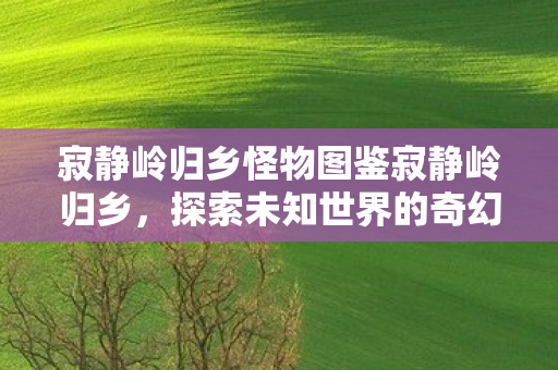 寂静岭归乡怪物图鉴寂静岭归乡图片