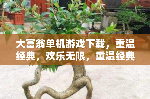 大富翁单机游戏下载,重温经典,欢乐无限,重温经典欢乐无限,大富翁单机游戏下载 大富翁单机游戏下载,重温经典,欢乐无限,重温经典欢乐无限,大富翁单机游戏下载