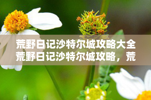 荒野日记沙特尔城攻略大全荒野日记沙特尔城攻略,荒野日记沙特尔城全攻略,解锁城市秘密,打造完美旅程 荒野日记沙特尔城攻略大全荒野日记沙特尔城攻略,荒野日记沙特尔城全攻略,解锁城市秘密,打造完美旅程
