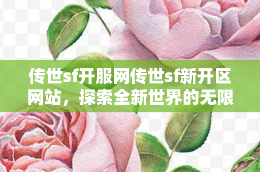 传世sf开服网传世sf新开区网站图片