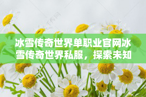 冰雪传奇世界单职业官网冰雪传奇世界私服图片