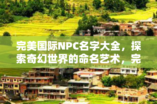 完美国际NPC名字大全，探索奇幻世界的命名艺术，完美国际NPC名字探索，奇幻世界的命名艺术揭秘