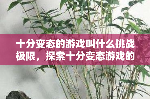 十分变态的游戏叫什么挑战极限,探索十分变态游戏的未知领域,挑战极限,探索变态游戏的未知领域 十分变态的游戏叫什么挑战极限,探索十分变态游戏的未知领域,挑战极限,探索变态游戏的未知领域