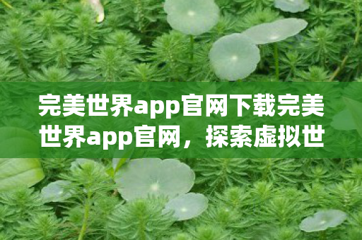 完美世界app官网下载完美世界app官网，探索虚拟世界的无限可能，探索虚拟世界的无限可能，完美世界app官网下载