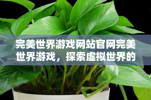 完美世界游戏网站官网完美世界游戏图片