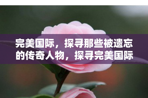 完美国际，探寻那些被遗忘的传奇人物，探寻完美国际中被遗忘的传奇人物