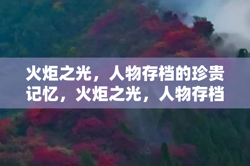 火炬之光,人物存档的珍贵记忆,火炬之光,人物存档中的珍贵记忆 火炬之光,人物存档的珍贵记忆,火炬之光,人物存档中的珍贵记忆
