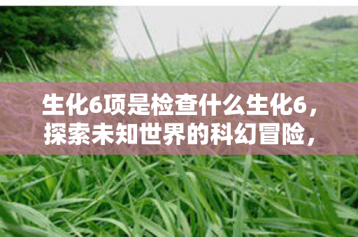 生化6项是检查什么生化6,探索未知世界的科幻冒险,生化6项,解锁未知世界的科幻冒险钥匙 生化6项是检查什么生化6,探索未知世界的科幻冒险,生化6项,解锁未知世界的科幻冒险钥匙