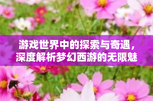 游戏世界中的探索与奇遇，深度解析梦幻西游的无限魅力，梦幻西游，探索与奇遇的无限魅力深度解析